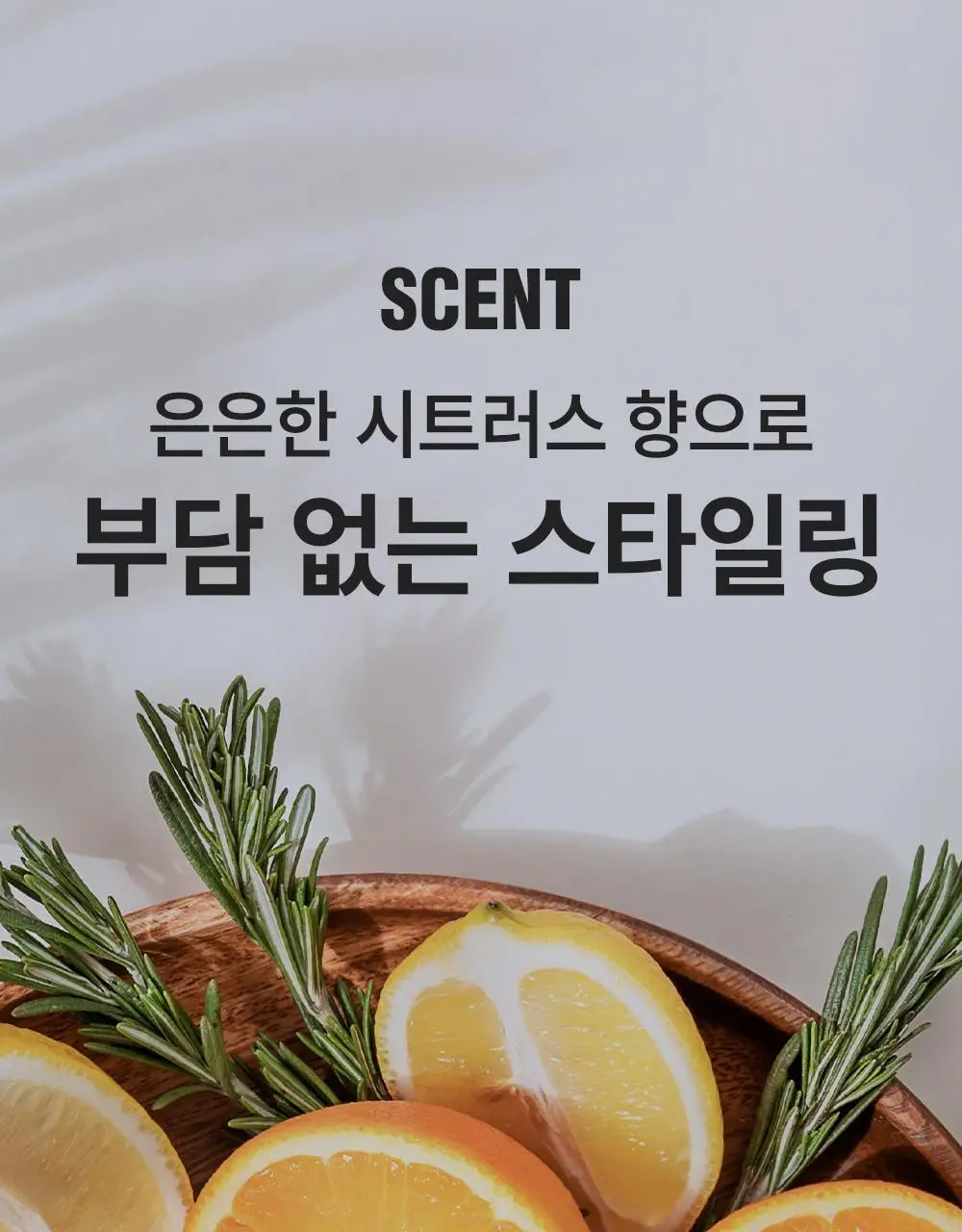 [변우석 Pick]다슈 포맨 울트라 홀딩 파워 왁스 100ml+스프레이 50ml 상세페이지 34